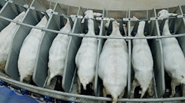 Safe and comfortable 250x