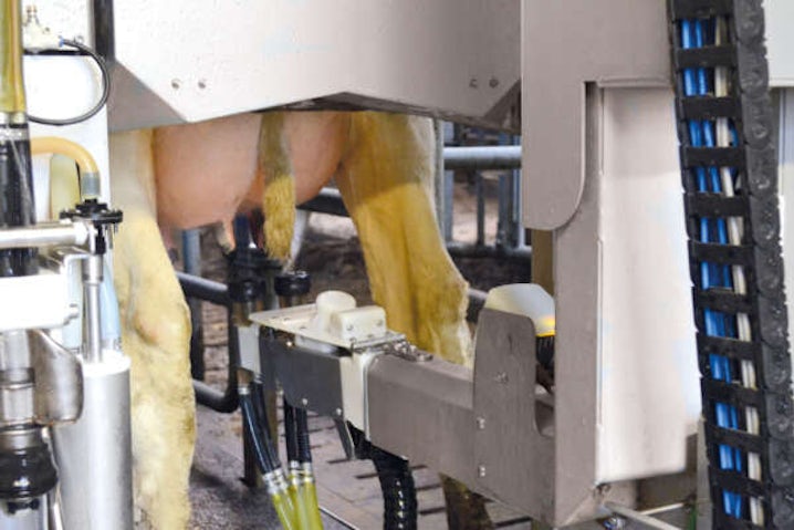 DG72 clean RGB oxybrosse